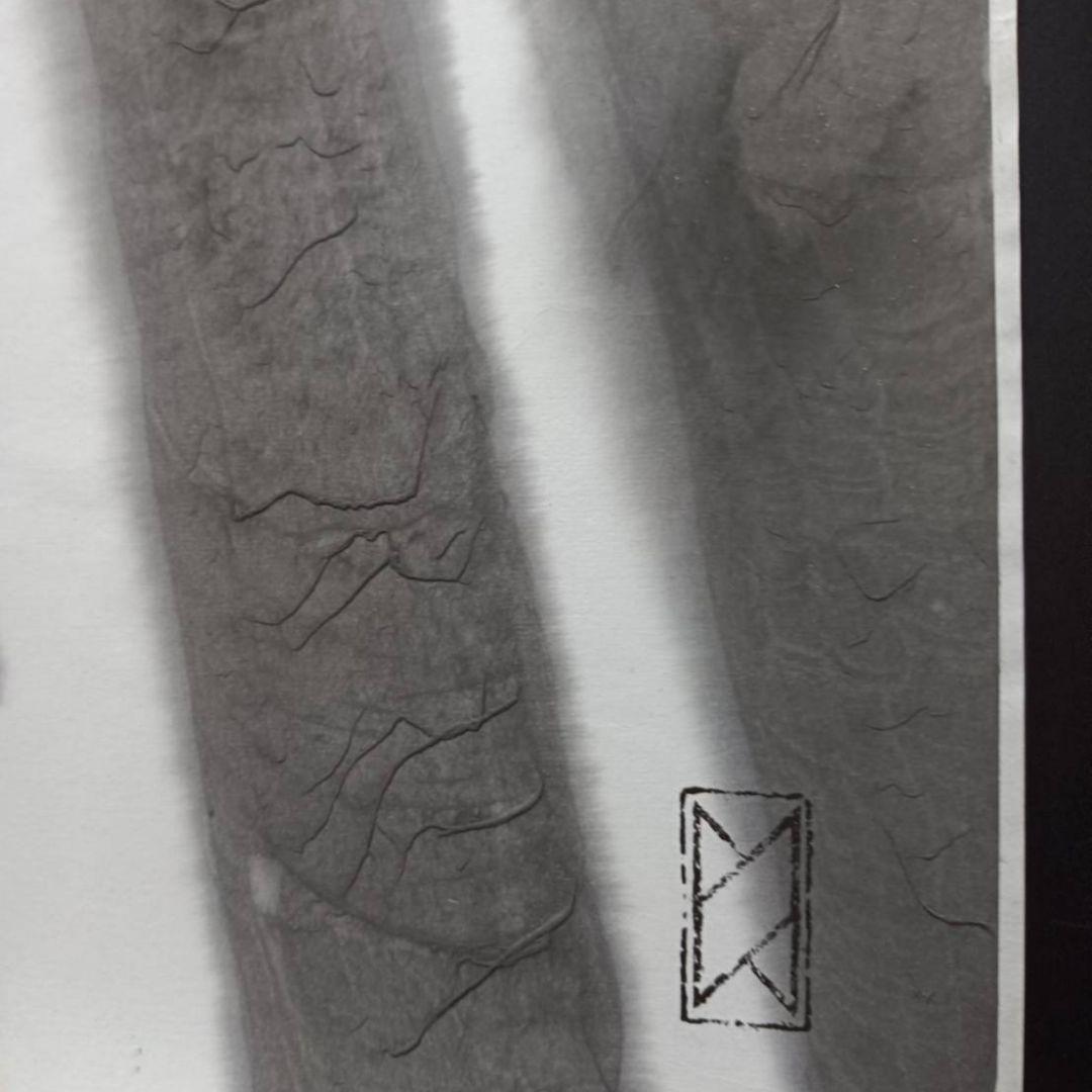 【値下げ】墨アート　‘’至高‘’(10%OFF※12/31迄)