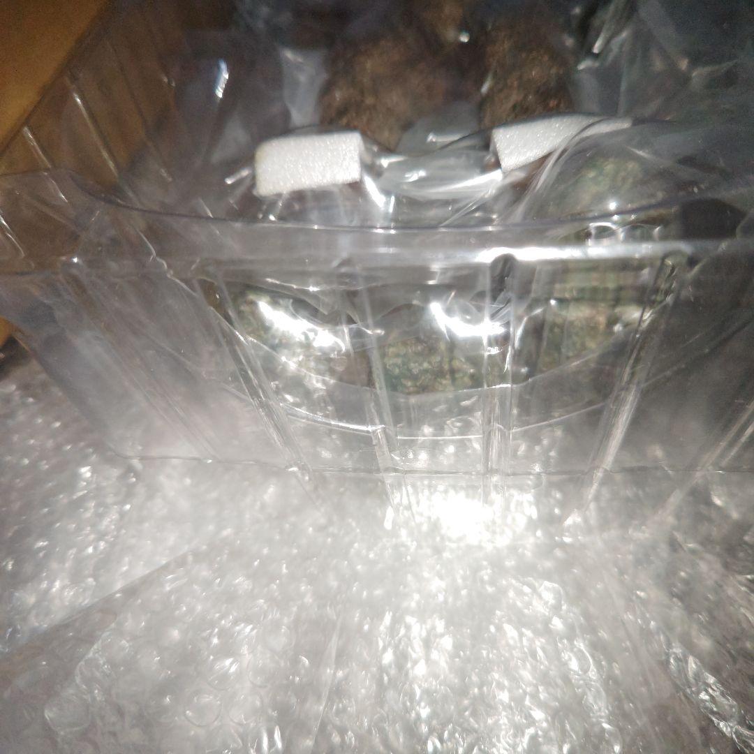 スターエーストイズ　コング　KONG　キングコング　フィギュア　DX