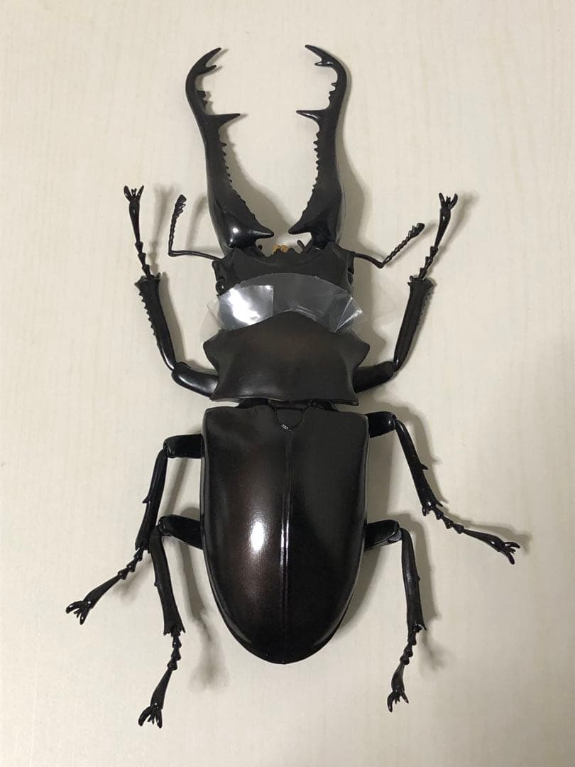 海洋堂 リボジオ ギラファノコギリクワガタ