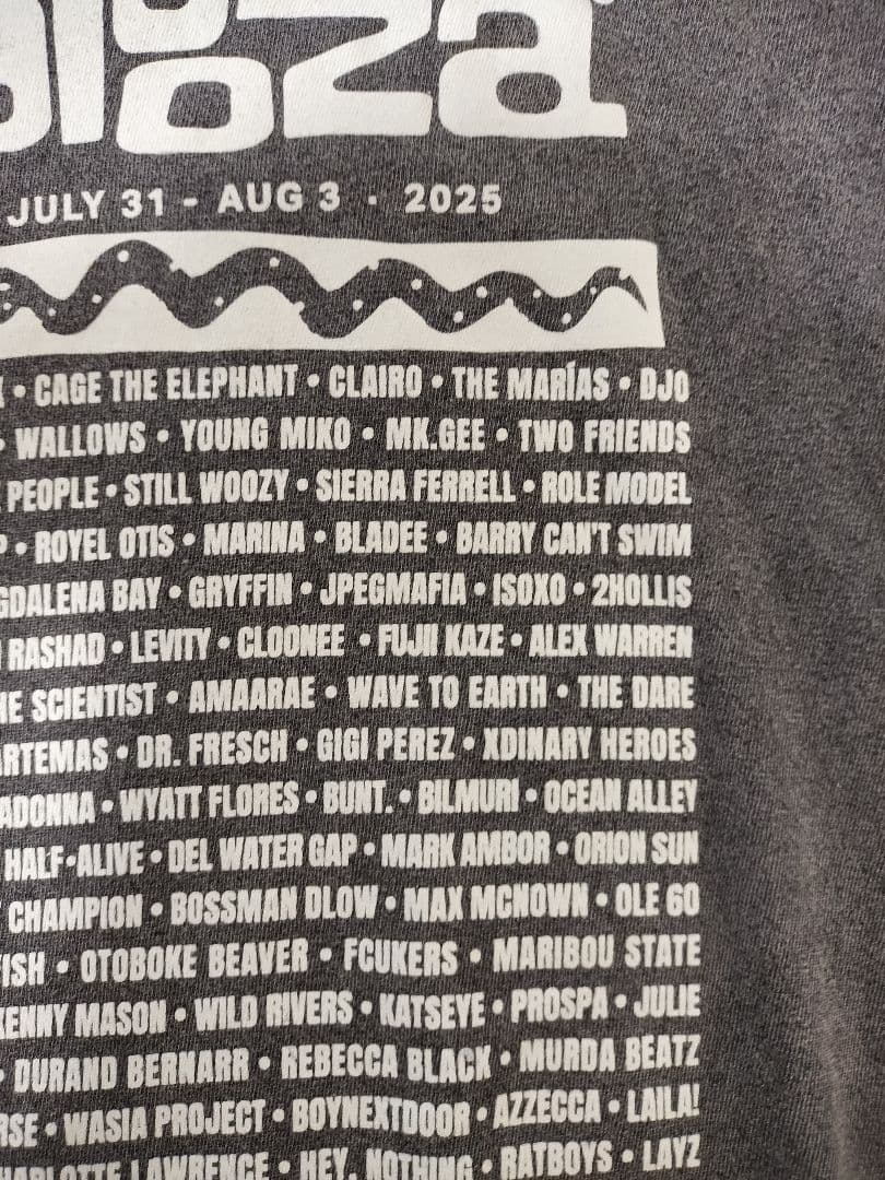 Lollapalooza ロラパルーザ 2025 Tシャツ Lサイズ 藤井風