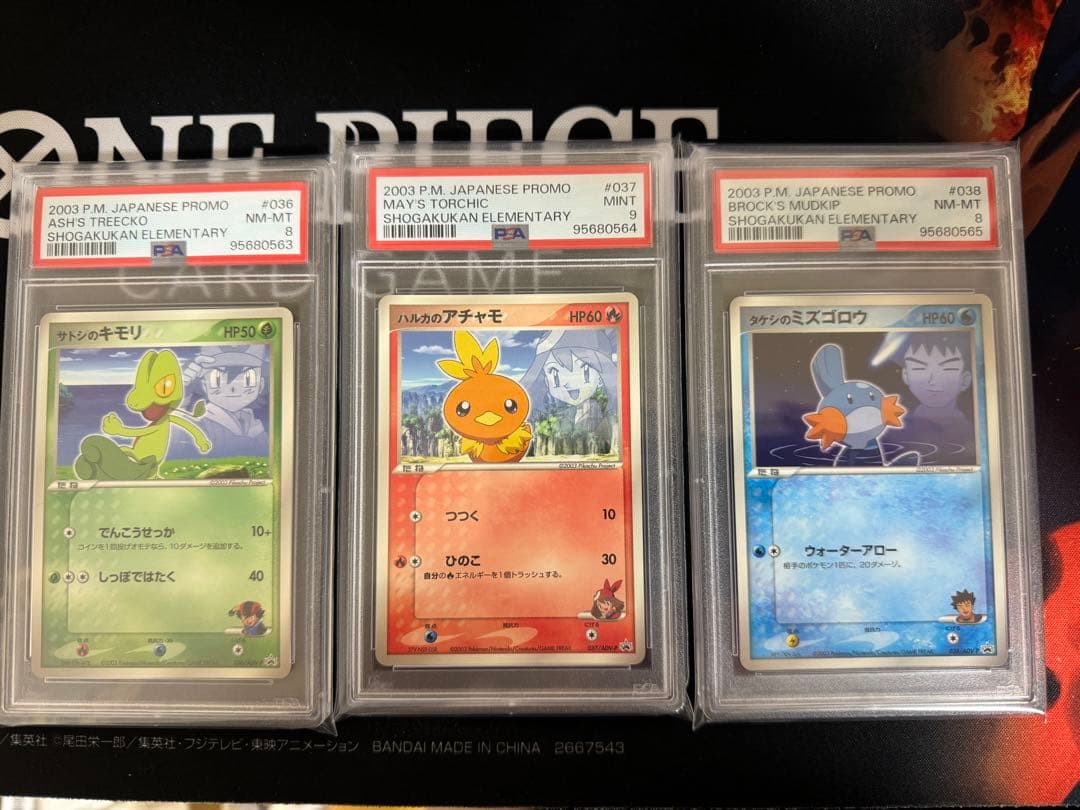 ポケモンカード Acerola サポーター 117/149