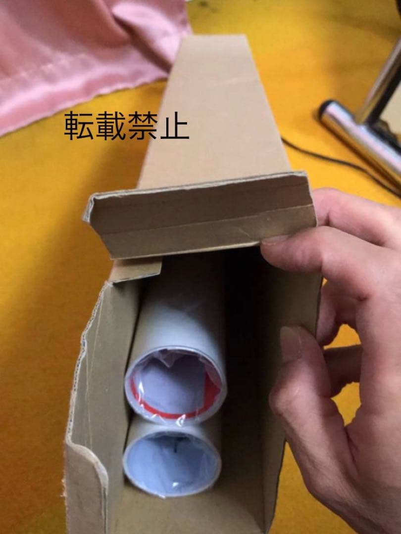 武田玲奈　等身大ポスター　２種類セット