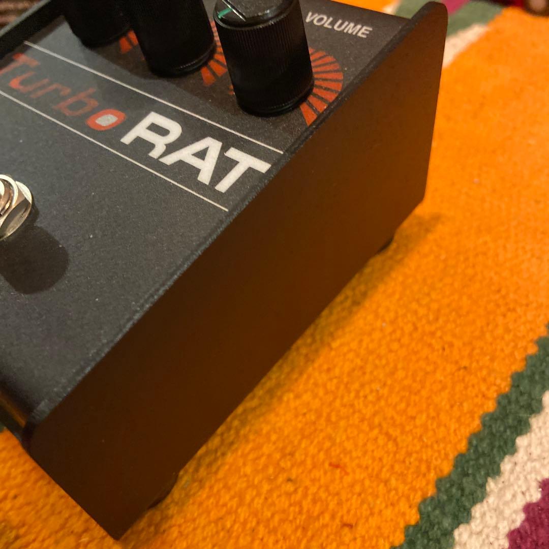 ProCo Turbo RAT 現行品 極美品