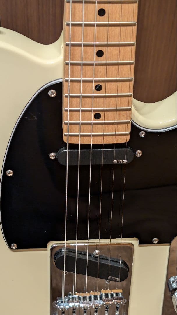 本体ジャンク】Bacchus BTE-1M ＋EMG/GOTOH製パーツ