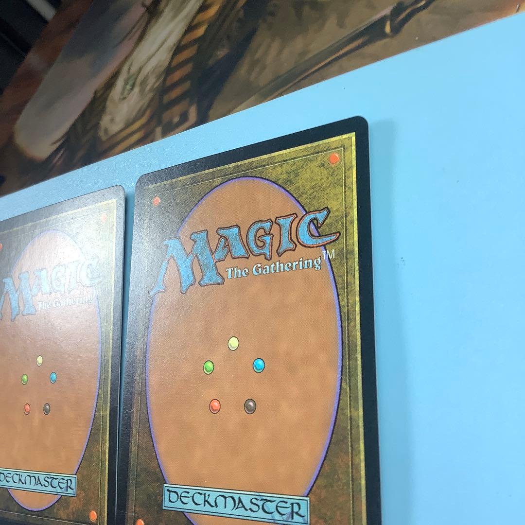 *バラ売り可* 大地の知識/Earthcraft TMP日本語3枚セット