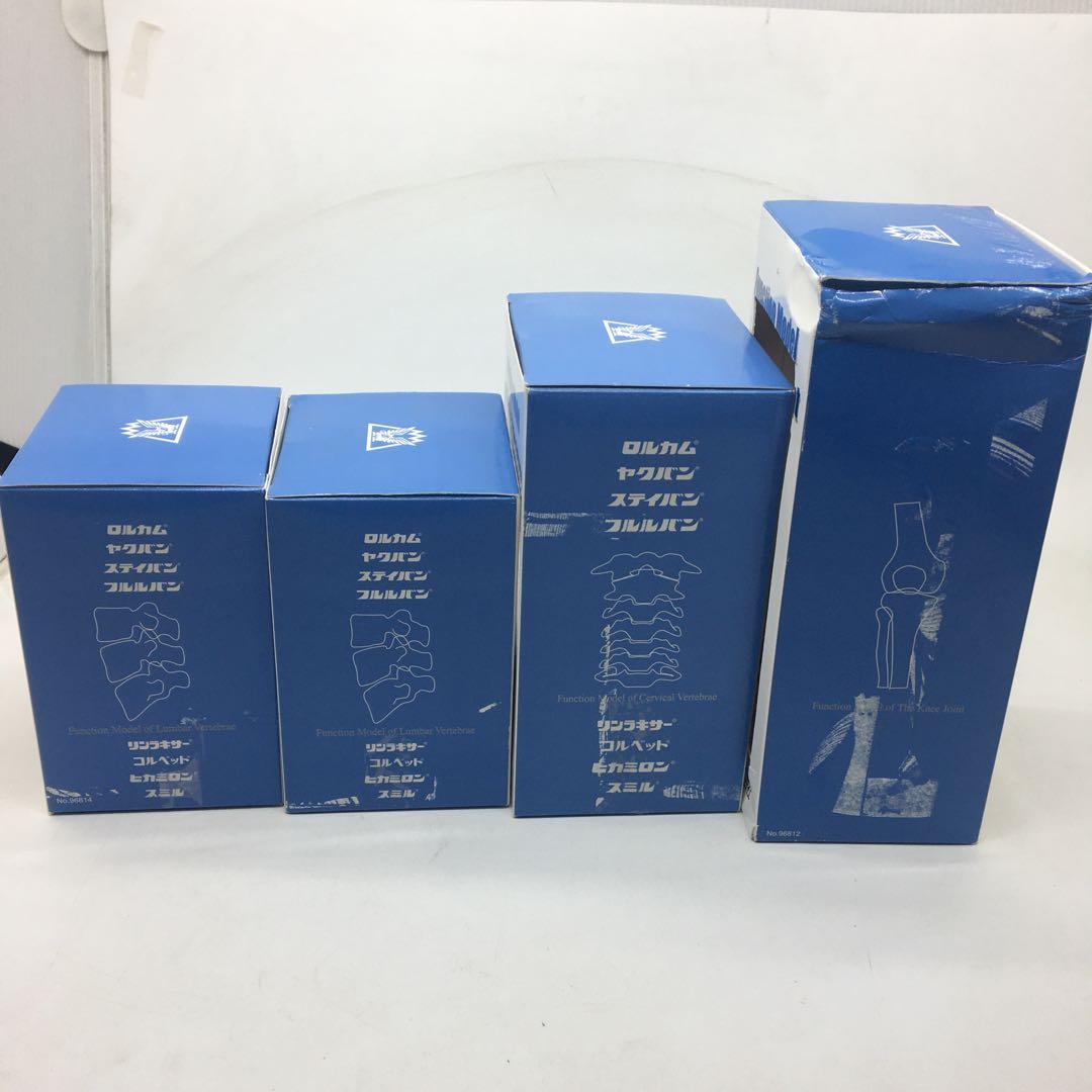 大正製薬人体模型関節骨