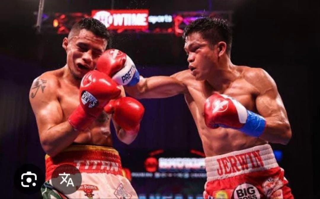 日本未発売HAYABUSA ボクシンググローブ 黒 試合用 8オンス