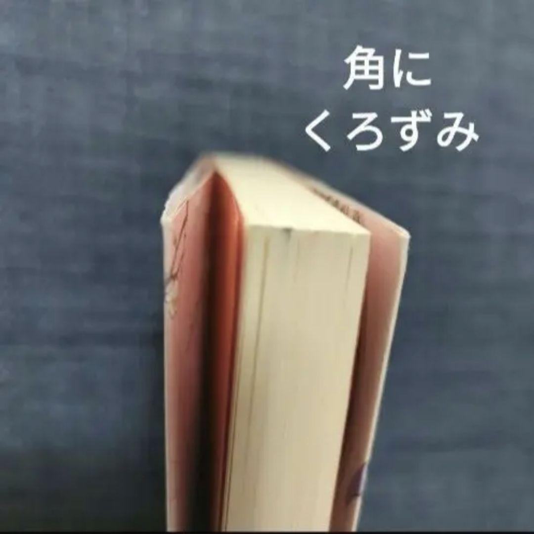 薬屋のひとりごと 全巻 19冊 小説付 他中華まんが