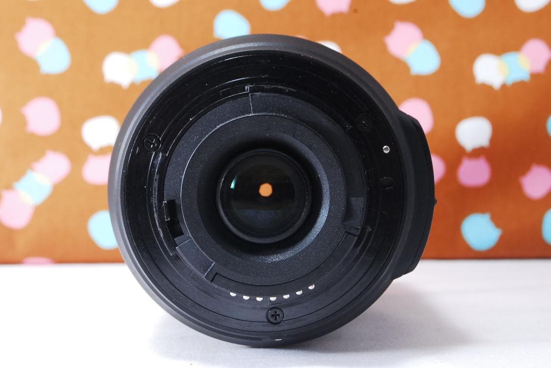 ✨ショット数3295回✨望遠レンズ付き✨Nikon D40 レンズセット