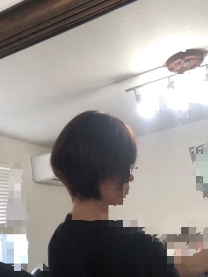 人毛王道ショートウィッグ ブラウン　未使用