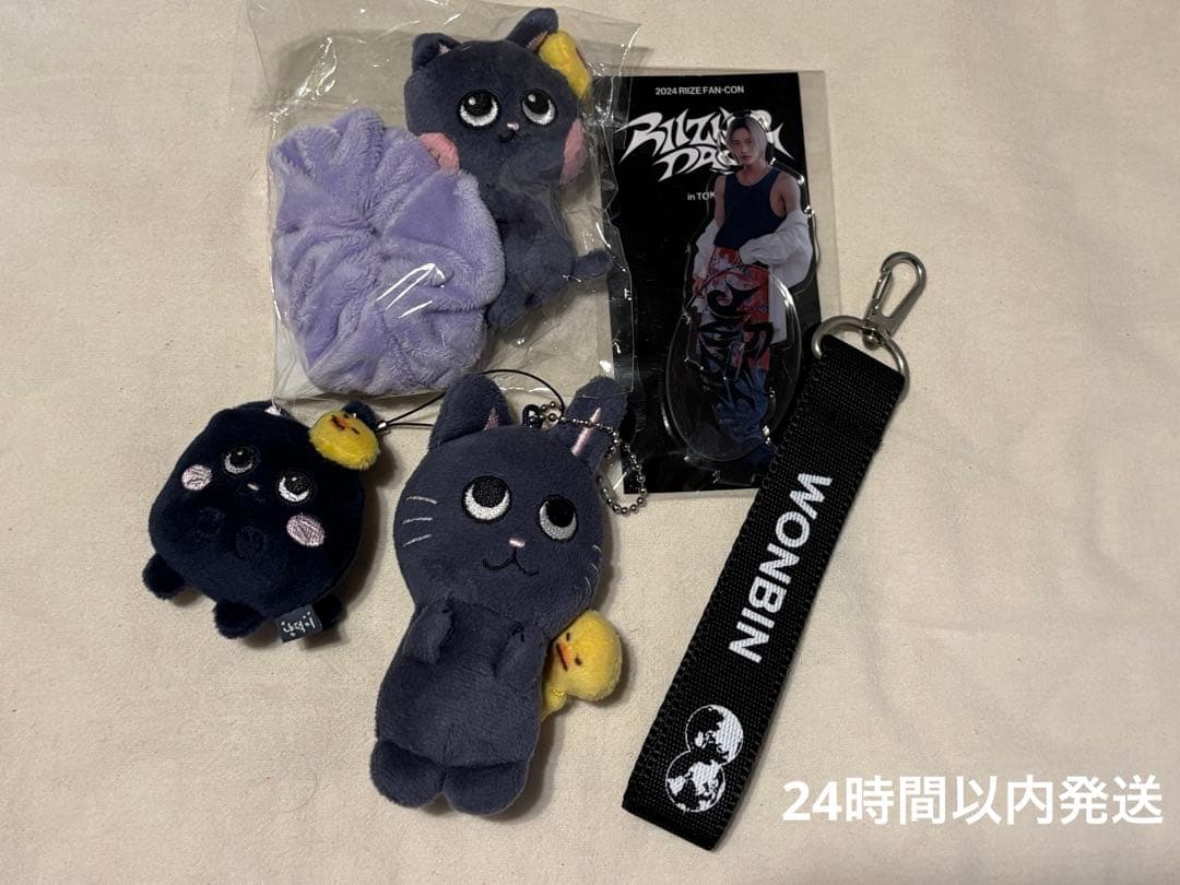 RIIZEウォンビン グッズセット シュシュ、ぬいぐるみアクスタペン