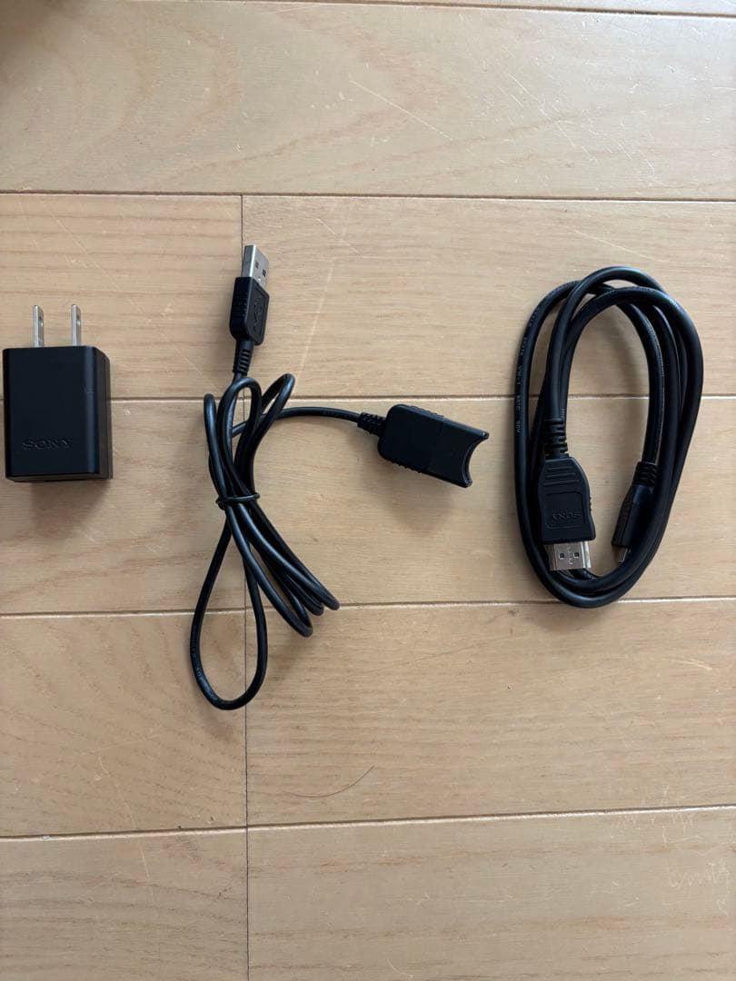 SONY HDR-CX670 光学30倍　収納バッグ付