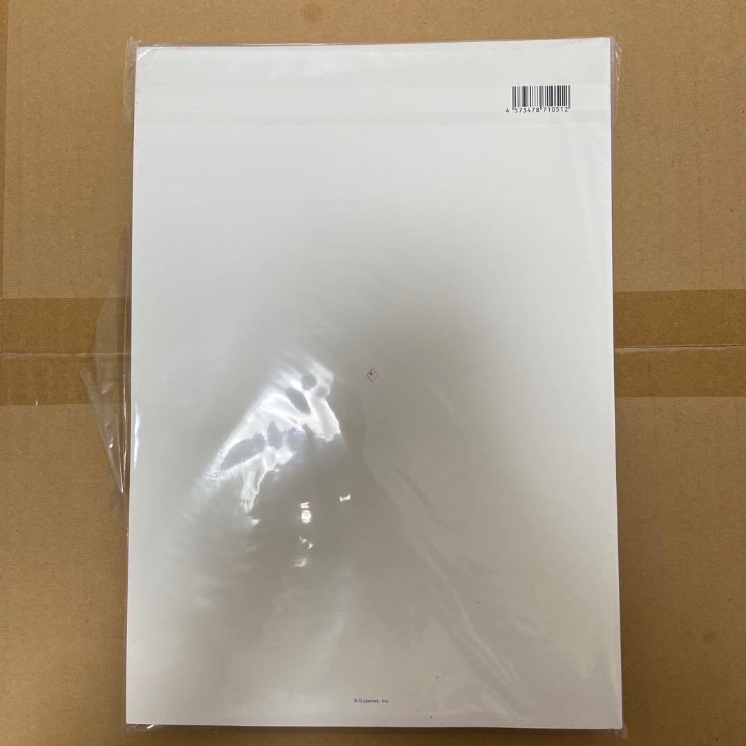 グラブルパンフレット　Y2