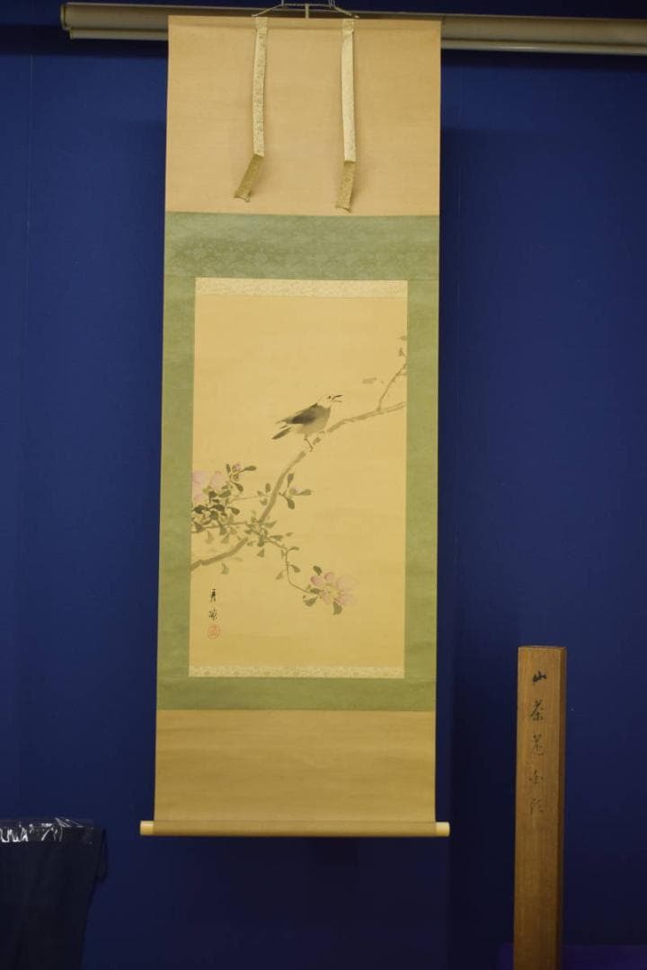 真作/池上秀畝/山茶花に小禽図/桐共箱付/布袋屋掛軸HI-751