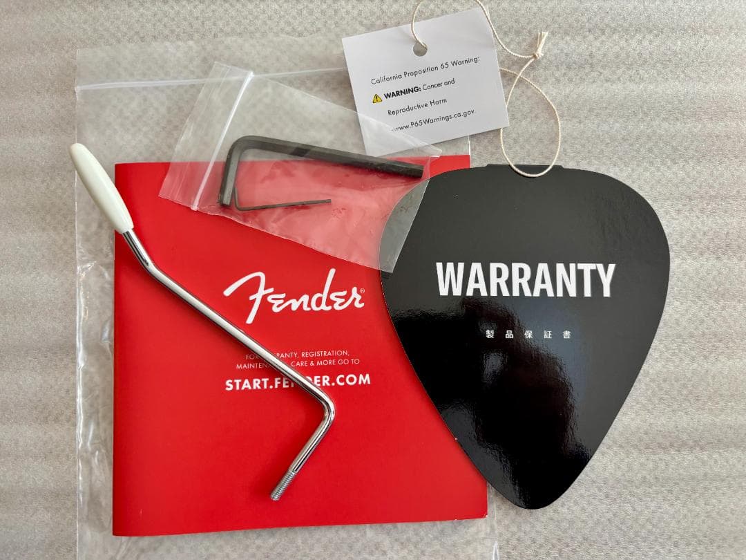 新品未使用 / 2024限定品 / fender Stratocaster