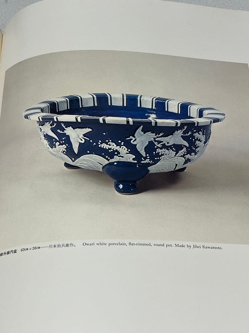 皇居の盆栽 盆栽 盆栽鉢 水盤 本