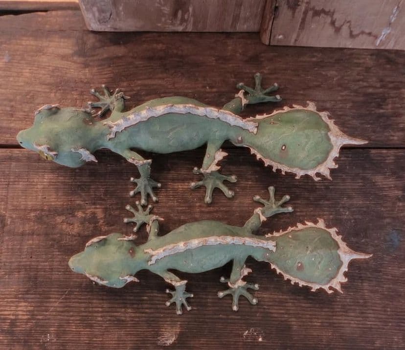 owzrt オズワートGecko Oteroi Satanic Agave - メルカリ