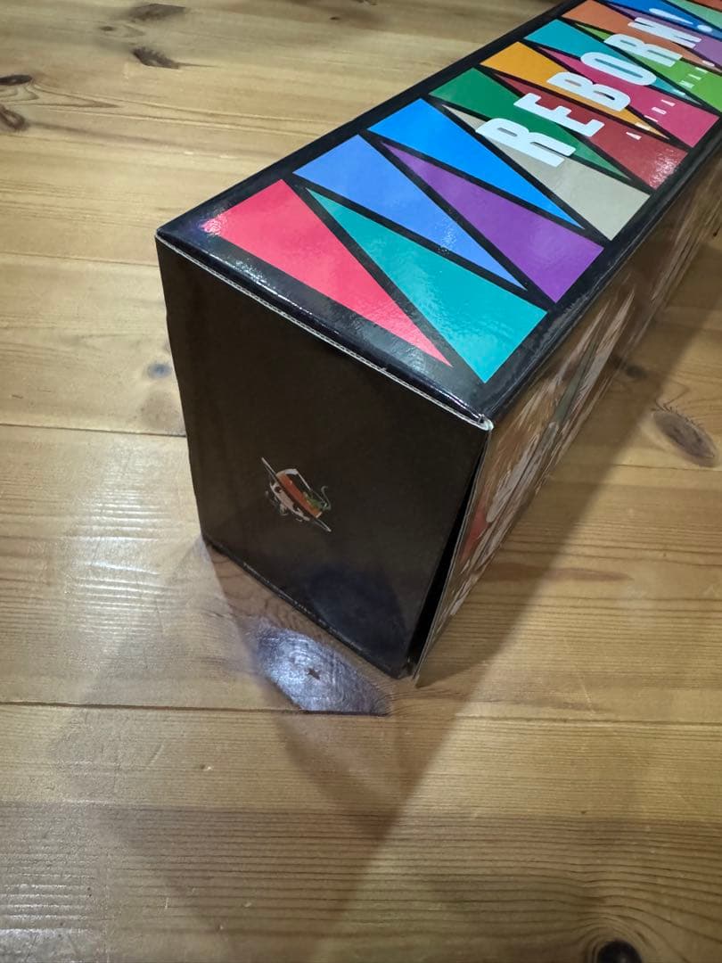 家庭教師ヒットマンREBORN 文庫版 ケース付き