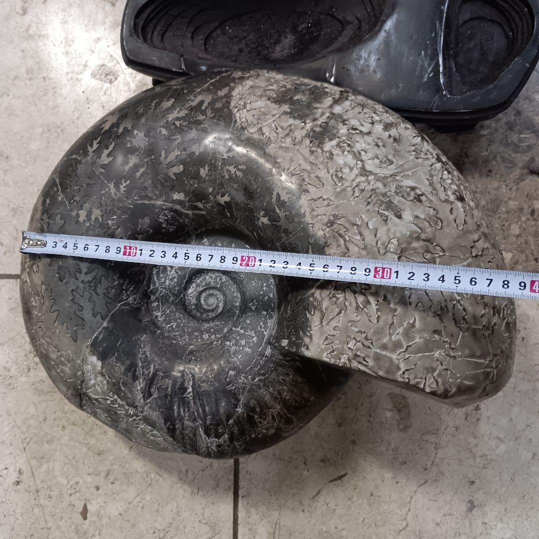 4525）アンモナイトの化石 30kg超え 縫合線 鑑賞石 置物