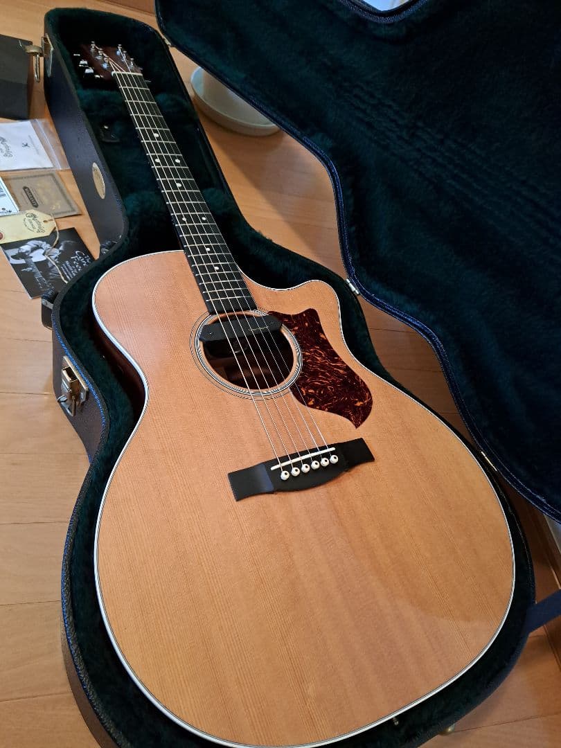 Martin & Co.GPCPA4 ローズウッドオール単板 ピックアップ マーチンの