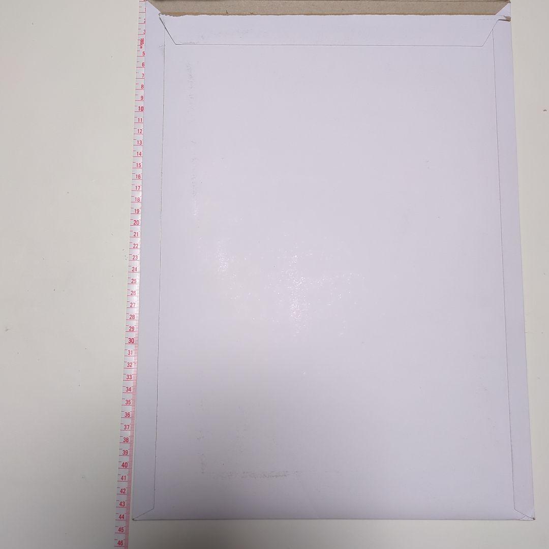 高橋文哉眞栄田郷敦桜田ひより板垣李光人　ブルーピリオド サイン入りポスター