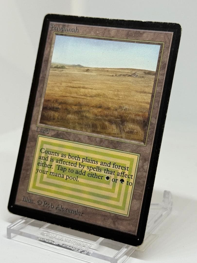 《Savannah》LEB ベータ版　デュアルランド