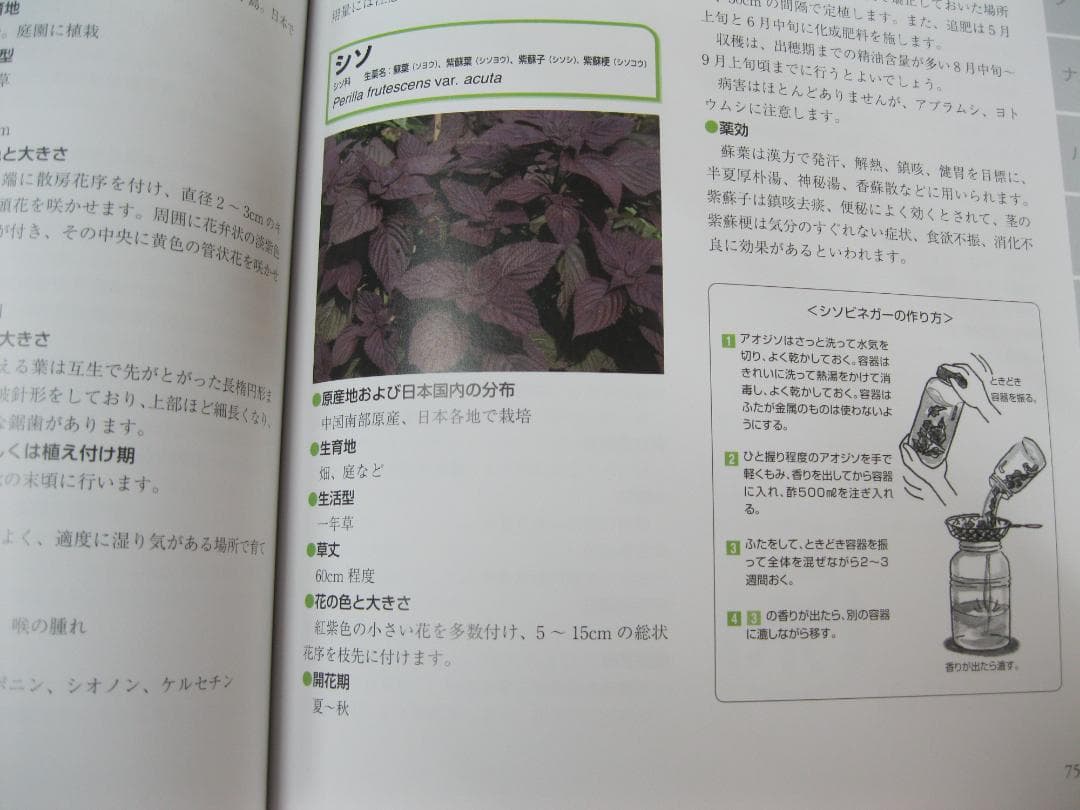 薬草ガーデン講座テキスト①～⑤＋薬用植物事典 日本園芸協会