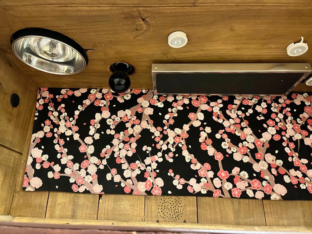 フトアゴ飼育ケージセット 爬虫類 床 材