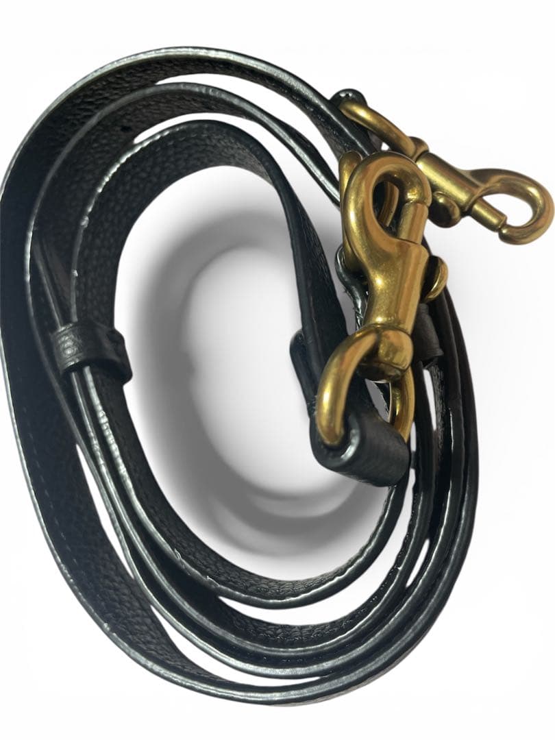 み*る様 ❤️コーチ レザー 2way ショルダーバッグ ウィロウ ターンロック