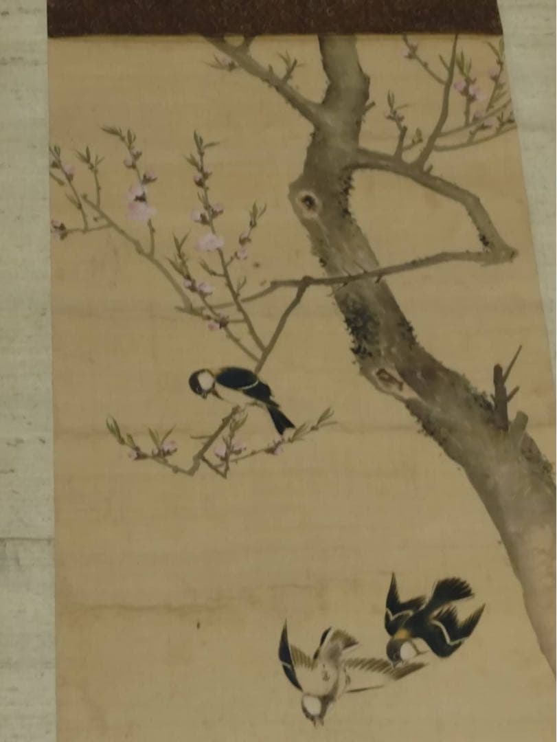 3-2866 掛軸 『庚子初秋写 應舉』 丸山応挙