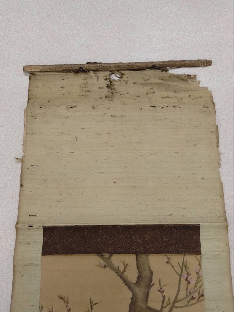 3-2866 掛軸 『庚子初秋写 應舉』 丸山応挙