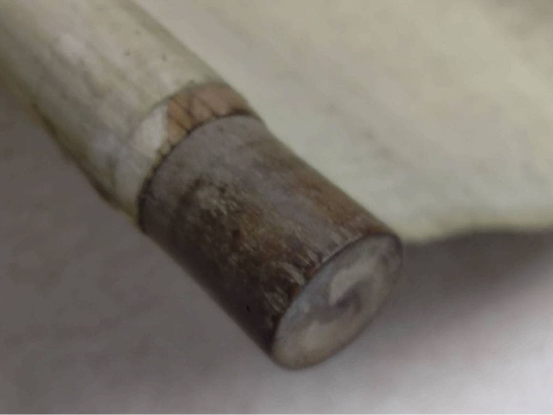 3-2866 掛軸 『庚子初秋写 應舉』 丸山応挙