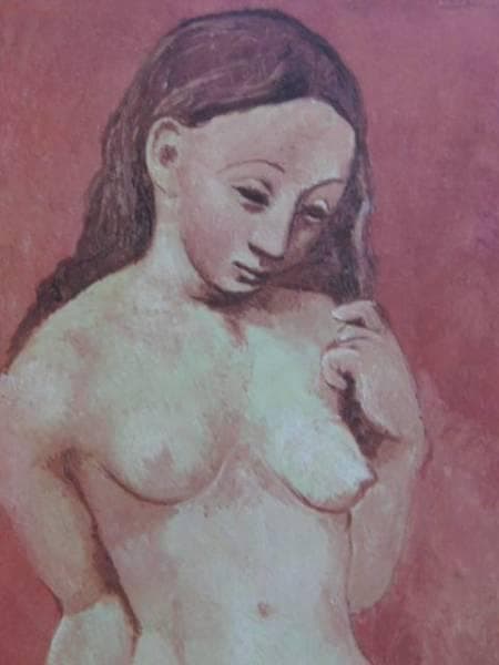 パブロ・ピカソ、赤い背景の裸婦、希少な額装用画集より、新品高級額装付