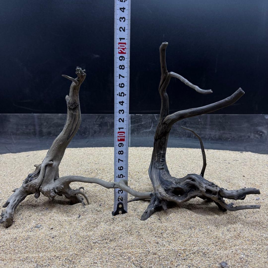 MDW-7246 ブランチウッド(ブラック)2本セット 枝流木 アクアリウム