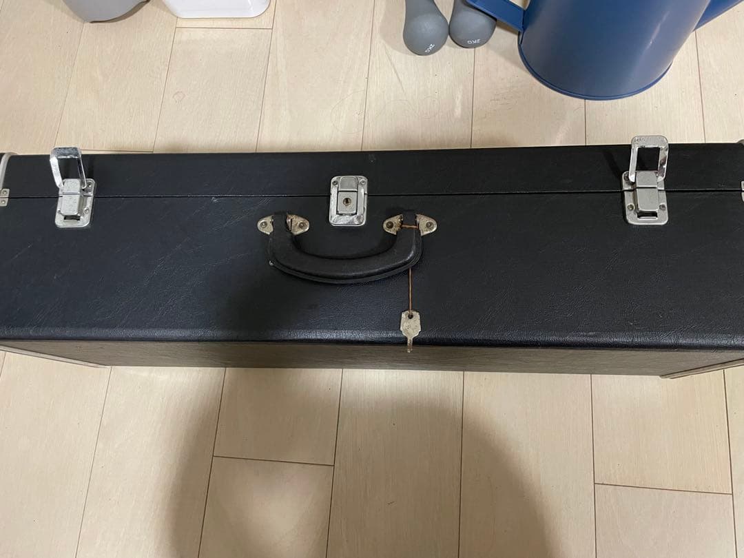 落合忠男 マンドリン 1970年頃製作 ハードケース付き