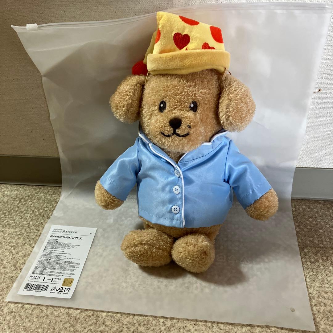 seventeen ミニティーン ドア DK ドギョム doa セット 2025 MINITEEN