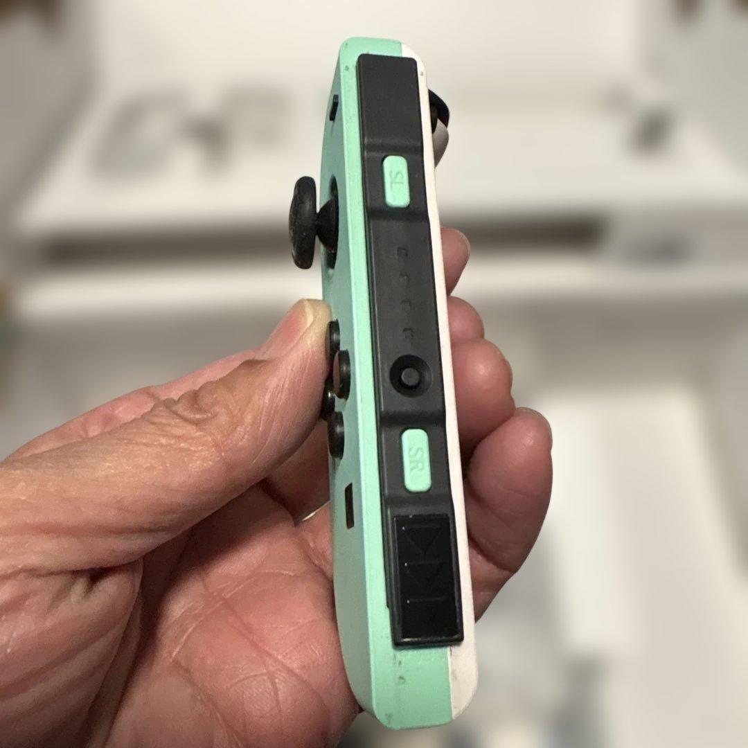 【超美品】Switch あつまれどうぶつの森セット