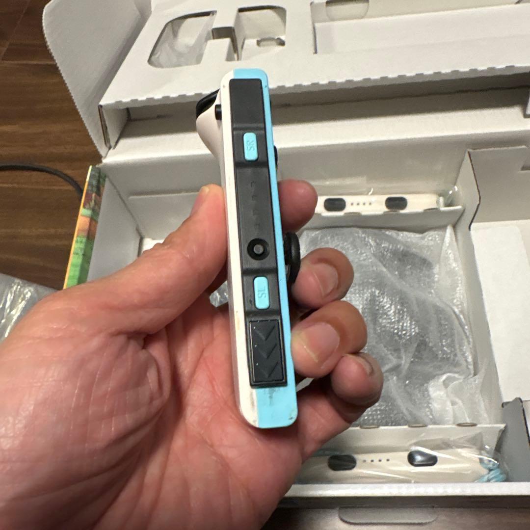 【超美品】Switch あつまれどうぶつの森セット