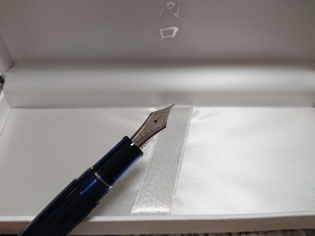 アウトレット [限定品] プラチナ万年筆 #3776 センチュリー 河口 細字F