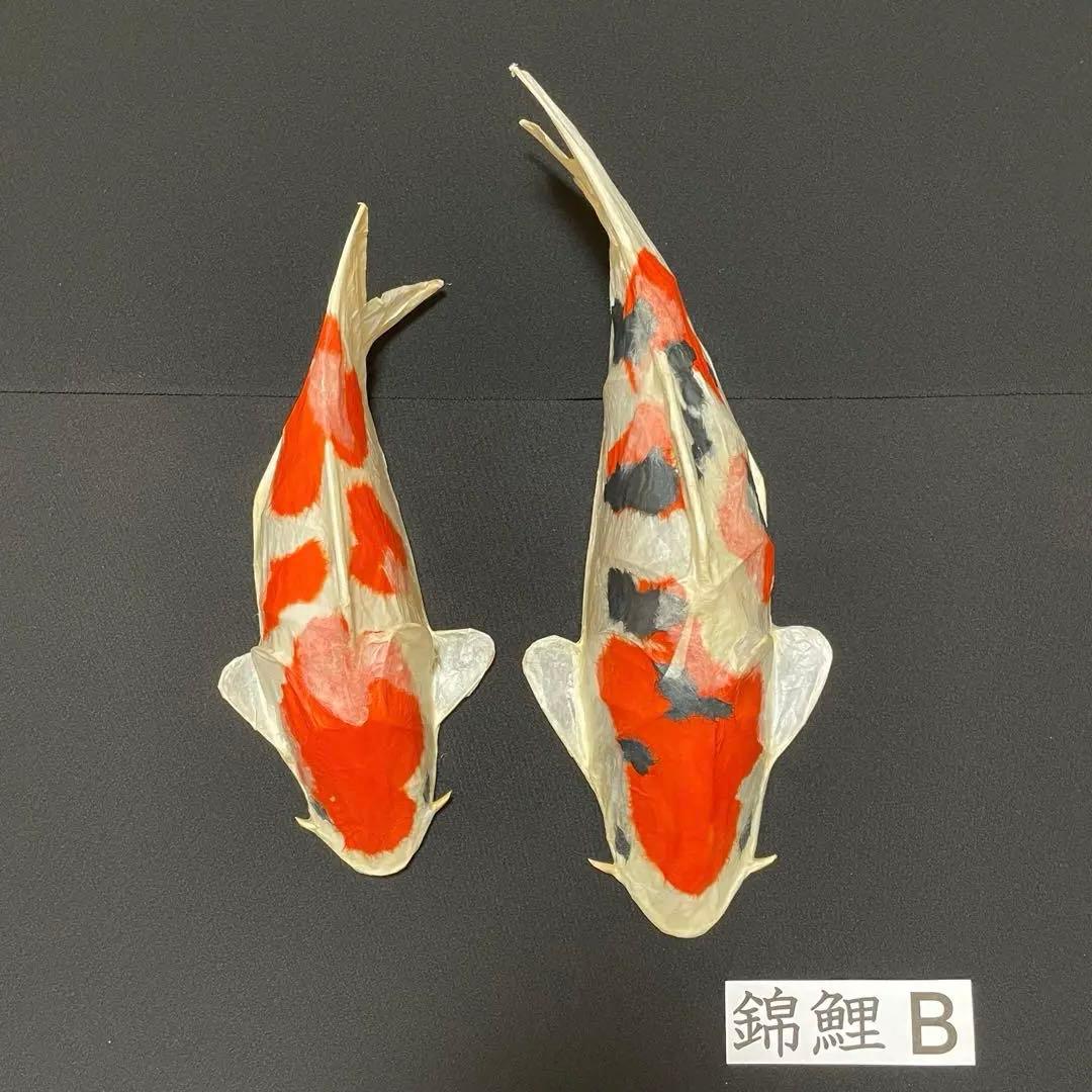 張子 錦鯉 C ツヤあり ハリコ オンライン 張子 錦鯉 C ツヤあり 張子