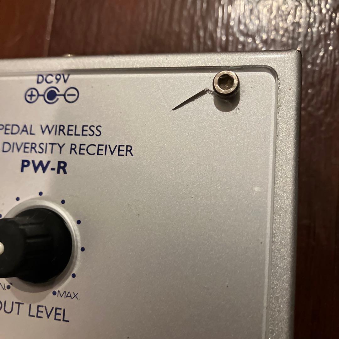 ギター EX-pro PW-T PW-R