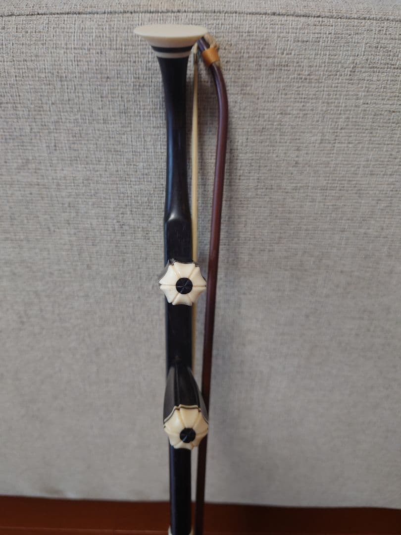 二胡　中国伝統弦楽器　ケース付き