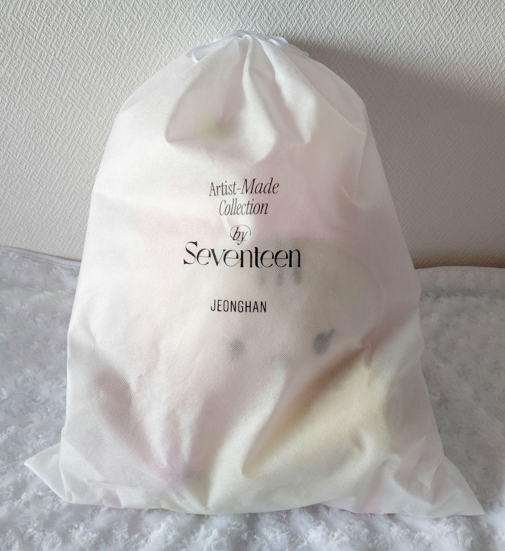 SEVENTEEN JEONGHAN トラム ぬいぐるみ アーティストメイド