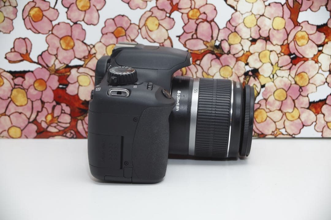 メメントモリ様専用❤️初心者向け❤️キヤノン EOS kiss X4 レンズ