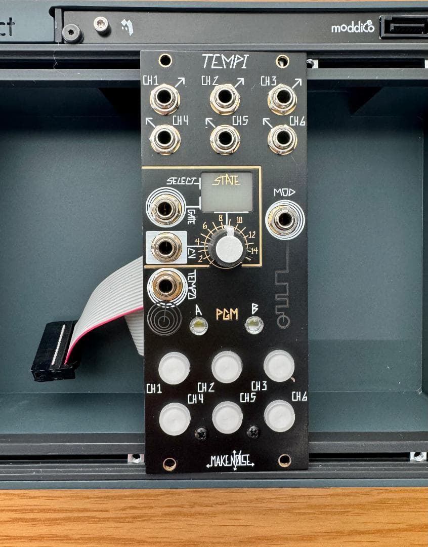 Make Noise TEMPI モジュラーシンセサイザー
