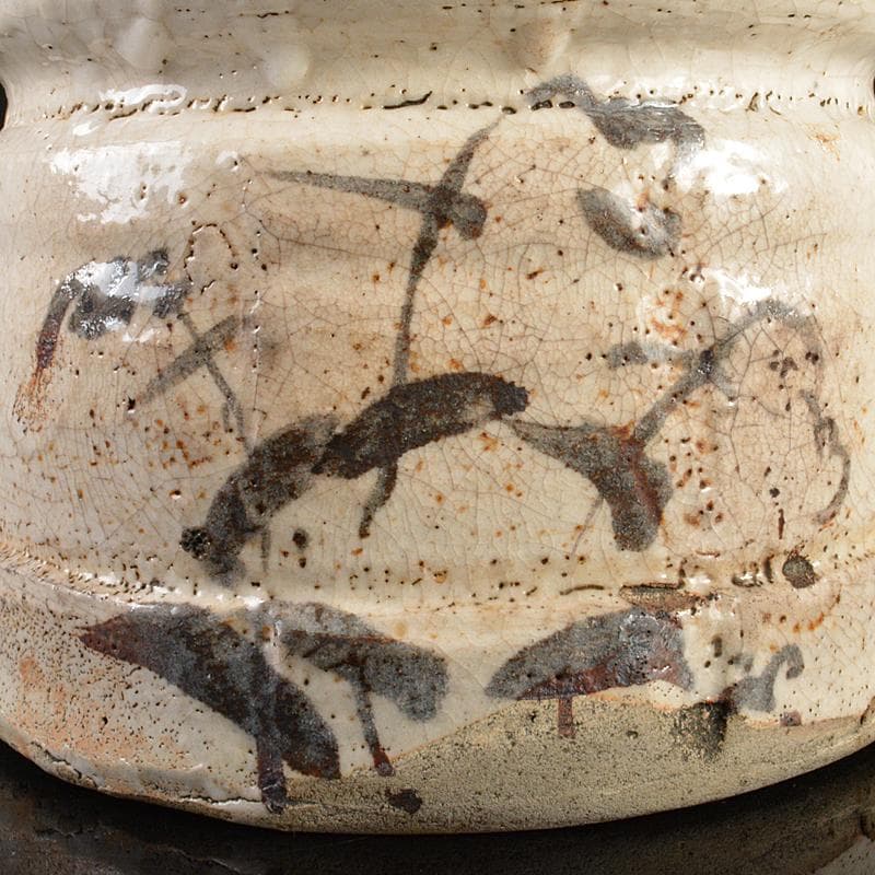 茶道具 志野焼 絵志野 鉄絵 花草文 水指 時代箱付 V R6156B