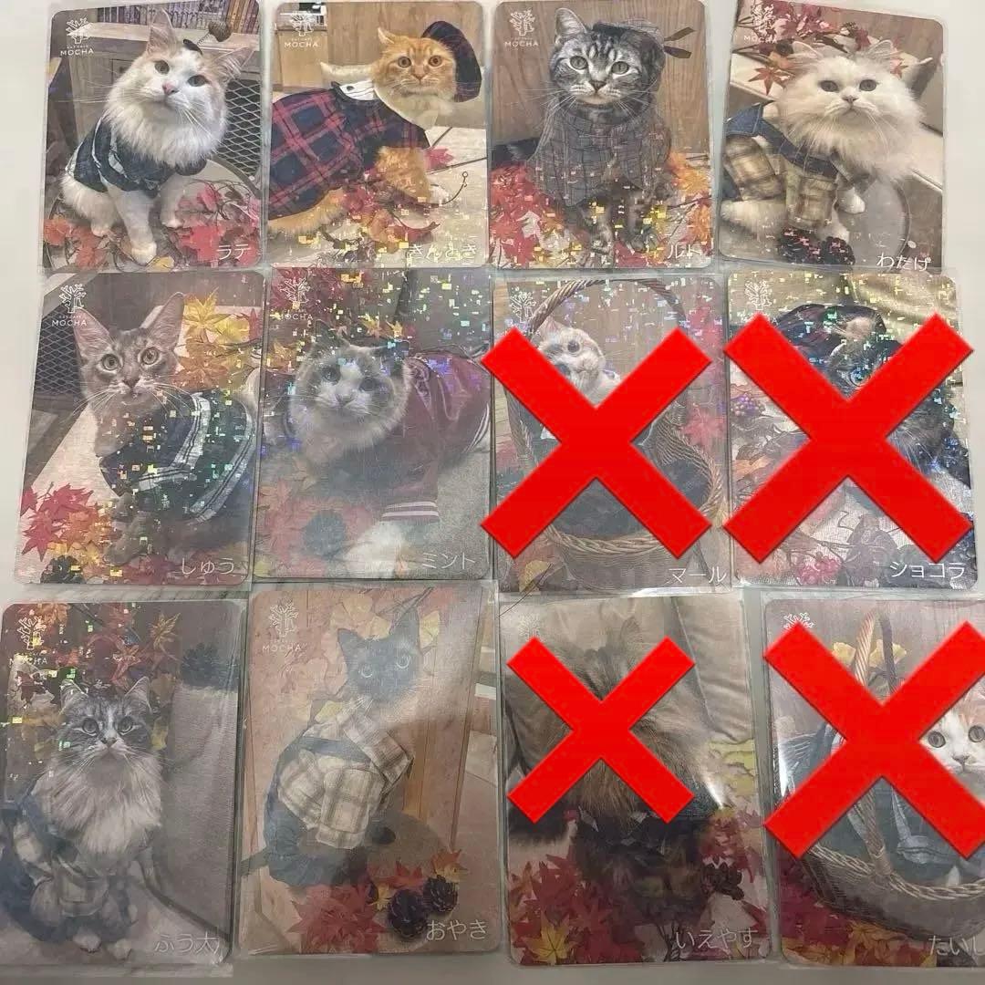 猫カフェMOCHA 】イオンモール羽生店 2025年 秋 Autumnトレカ