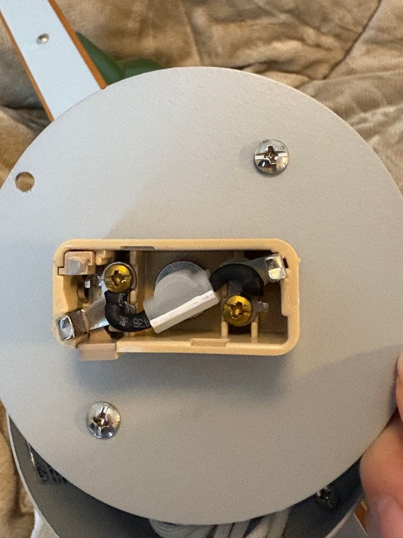 期間限定お値下げ！ハモサ　マルティ4灯ライトランプ緑色