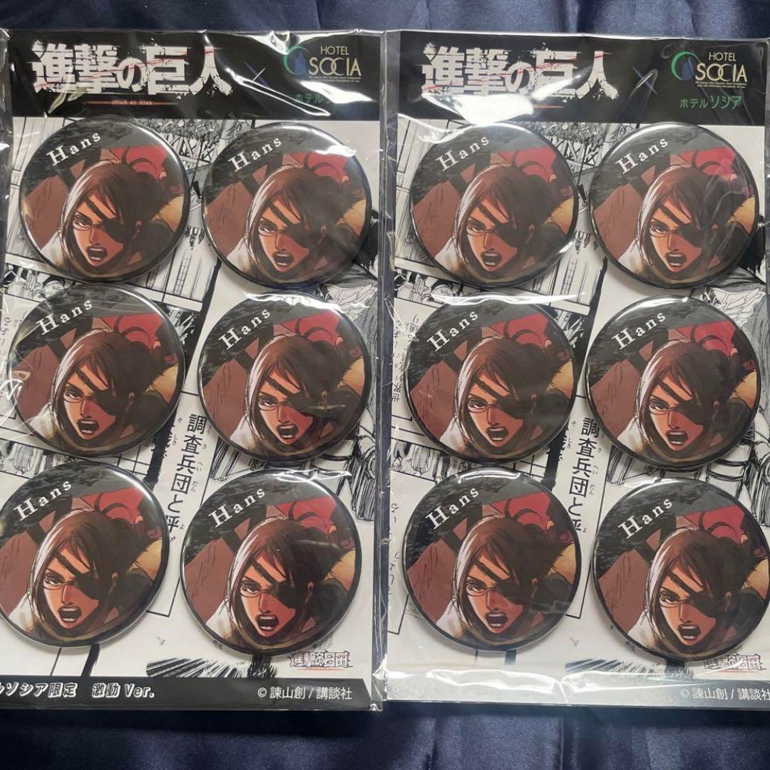 進撃の巨人 ハンジ・ゾエ 缶バッジ 12点セット ホテルソシア 日田