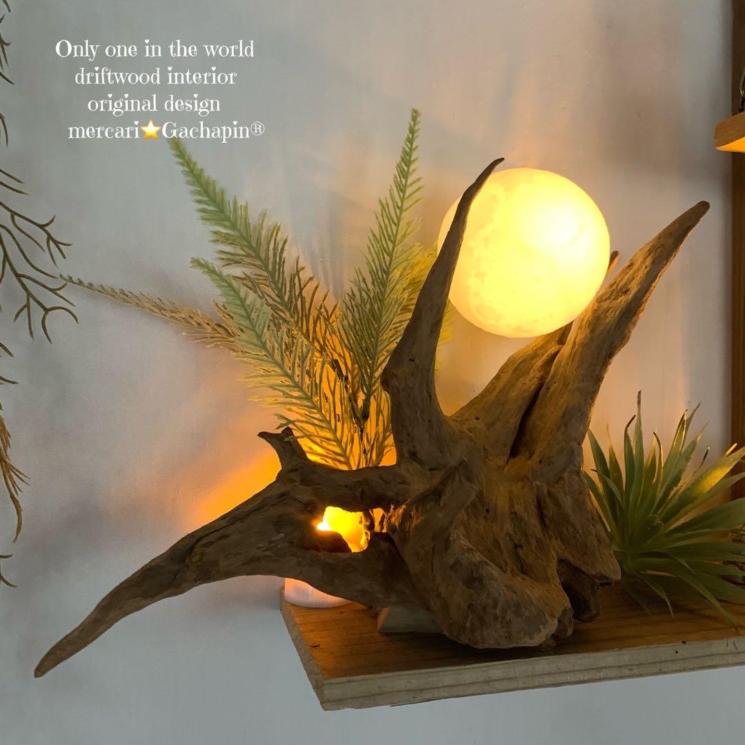 No.623⚜️ムーンライト付き希少流木ウォールシェルフ流木インテリア 流木アート